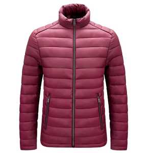 Veste d'hiver matelassée pour homme, col montant, fermeture éclair, couleur unie, style décontracté, respirante, extérieur en polyester, coupe-vent, coupe ajustée - Product Image 1