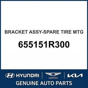 Repuestos y Accesorios para Autos y Camionetas Accent New Other 655151R300 - Product Image 1