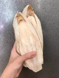 SEICHES SÉCHÉES DU VIETNAM - QUALITÉ SUPÉRIEURE, EMBALLAGE EN VENTE EN GROS ET FOURNITURE STABLE POUR IMPORTATEURS, RICHE EN VITAMINES - Product Image 2