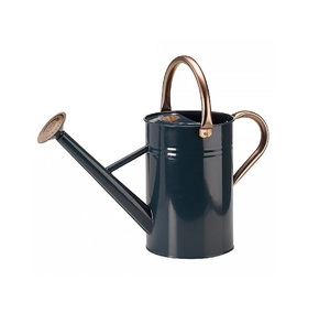 Galvanized Zinc Watering Can with Copper Handle and Spout for Gardening Use Leak Proof Decorative Watering Can - Product Image 5