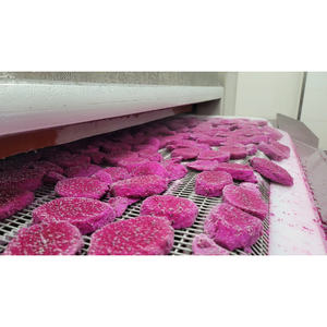 Premium <b>Frozen</b> Dragon Fruit IQF Dices Cubes Sweet Tropical Fruit Vacuum Pack For Beverage Dessert Bakery And Smoothie <b>Production</b> - Product Image 1