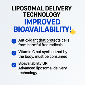 วิตามินซีแบบลิโปโซม OEM เกาหลี 500 มก. ชนิดเม็ด 30 เม็ด ดูดซึมได้ดี บำรุงภูมิคุ้มกันสำหรับผู้ใหญ่ ไม่เหมาะสำหรับทารกแรกเกิดและสตรีมีครรภ์ - Product Image 6