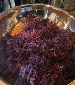 PRODUIT PHARE : Algues Marines Séchées Durables de Qualité Alimentaire, Kappaphycus Alvarezii Non Épineux, Source Brute pour Gel d'Agar - Product Image 5