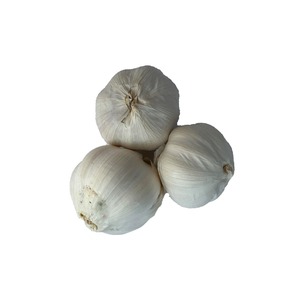 Ajo Fresco Natural, ajo fresco cuidadosamente seleccionado para un sabor premium y alta demanda en los mercados globales - Product Image 5