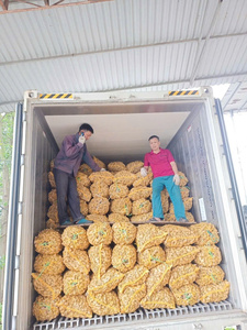 Gingembre frais/Jahe/Shoga |   100% Cao Bang Vietnam |   Meilleures recettes et bienfaits pour la santé |   Sac en filet de 20 kg (WA +84366808683) - Product Image 6