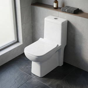 WC monobloc moderne en céramique à double chasse, à sortie verticale (S-Trap) ou horizontale (P-Trap), pour projets en pays du Golfe - Product Image 1