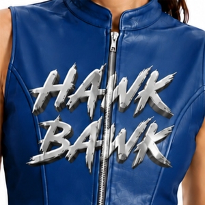 Chaleco de cuero para mujer, estilo sin mangas, con cremallera frontal, cuello alto, estilo motociclista, con bolsillos laterales, diseño para letras pintadas - Product Image 4