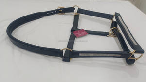 Licou de cheval de selle anglais élégant de haute qualité en cuir véritable fabriqué et vendu en gros par une société experte - Product Image 3