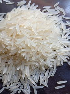 Arroz Basmati Indio Premium Más Vendido, 100% Puro, Aromático, de Grano Largo, Arroz Blanco Envejecido 1 Año para Biriyani - Exportadores - Product Image 1