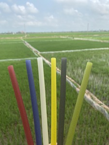 Ecostraws Vietnam Pailles en riz comestibles écologiques jetables en vrac sans PFAS sans BPA diamètre 12 mm longueur 200 mm pour le camping - Product Image 3