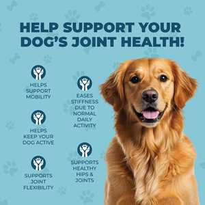 ADINS International Glucosamine pour les articulations des hanches, saveur chanvre et saumon, comprimés multivitaminés pour chiens et chats de tous âges, soutien immunitaire, santé des articulations - Product Image 6