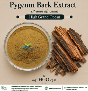 Extrait d'écorce de Pygeum (Prunus africana) de qualité alimentaire, fourni directement par l'usine HGO, rapports d'extraction 4:1 5:1 10:1 20:1 100:1 200:1 - Product Image 1