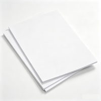 Papier A4 80 g/m² à bords micro-perforés pour une séparation propre et sans déchirure