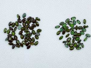 Lot de pierres précieuses naturelles de tourmaline facettées de forme ovale, tailles assorties, calibrées, pour la fabrication de bijoux - Product Image 3
