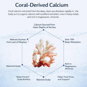 Champú de Calcio Coral con Cafeína y Péptidos para el Cuidado del Cuero Cabelludo, Anticaída, Crecimiento del Cabello, Control de Grasa, Limpieza Profunda e Hidratación - Product Image 3