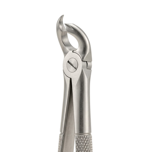 สกัดคีมมะเดื่อ25 "ลวดลายภาษาอังกฤษ" | สแตนเลสพรีเมี่ยม - Product Image 3