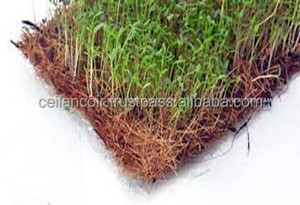 Coussinets de culture écologiques en fibre de coco idéaux pour l'agriculture, l'horticulture et les fermes hydroponiques en serre fabrication et exportation au Sri Lanka - Product Image 6