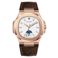 Montre analogique automatique pour homme, ronde, Alexander Ferros 6122R-02, saphir, boucle en acier inoxydable, bracelet en cuir, 5 bars, sport, mécanique