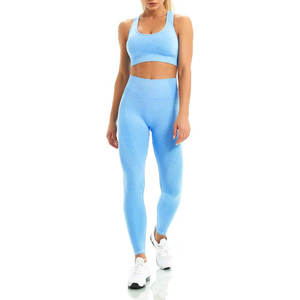 Conjunto Deportivo Sin Costuras para Mujer, Sujetador Deportivo y Leggings, Ropa Deportiva para Yoga y Gimnasio, Transpirable, Elástico y Cómodo - Product Image 1