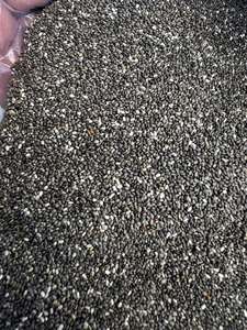 Premium Natural Basil <b>Seeds</b> – Wholesale Supplier from Vietnam - Product Image 2