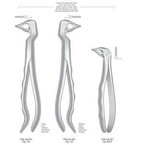 Forceps d'extraction dentaire manuels en acier inoxydable de qualité supérieure pour dents supérieures et inférieures, autoclavables ISO pour cliniques dentaires - Product Image 5