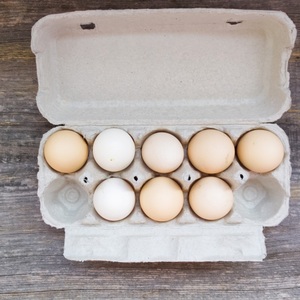 Huevos de gallina frescos comestibles de primera calidad, con cáscara blanca, envasados en cartones con cuidado higiénico para exportación a granel a compradores. - Product Image 4