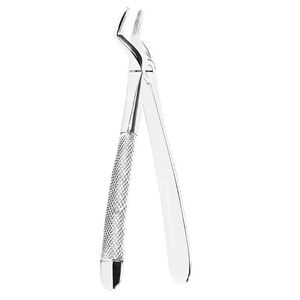 Dental Extraction Forceps Stainless Steel Best Price With Customized Size Dental Extracting Forceps by <b>Blush</b> Surgical - Product Image 3