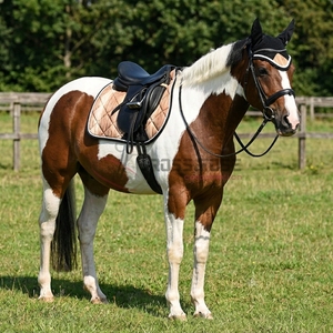 Ensemble d'équitation haut de gamme : tapis de selle, bonnet anti-mouches, protège-jambes, brosses, bottes de protection – Équipement équestre durable en tissu matelassé respirant - Product Image 5
