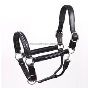 CUIR DE HAUTE QUALITÉ CANAL VIDE LUXE BLING & PEARL HORSE HALTER AVEC COURONNE ANATOMIQUE et QUINCAILLERIE EN NICKEL - Product Image 4