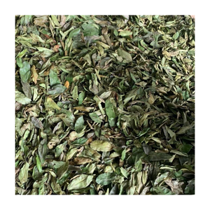 Feuilles de Graviola séchées, ingrédient botanique brut pour la fabrication de délicieuses boissons chaudes, exportées avec soin par le Vietnam - Product Image 5
