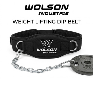 Heavy Duty Dip <b>Belt</b> with Steel <b>Chain</b> for Weighted Pull Ups Dips Strength Training Gym Fitness Equipment. - Product Image 4