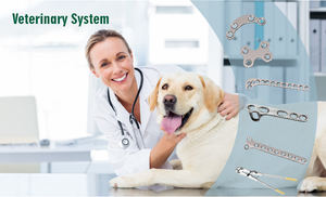 Veterinair Mini Tpl0 Roestvrijstalen Plaatsysteem: Efficiënt Aanpassen Aan De Behoeften Van Kleine Dierlijke Orthopedische Implantaten - Product Image 4