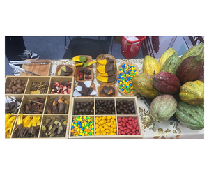 Premium <b>Chocolate</b> Dipped Dried Mango Vietnam Origin - Sweet Snack For Gift And Export Market - Product Image 3