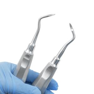 Outils dentaires d'extraction : Élévateurs dentaires droits et courbés en acier inoxydable – Instruments chirurgicaux pour dentistes - Product Image 4