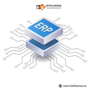 Développement de logiciels d'entreprise flexibles pour le développement de logiciels CRM et le support de plateformes SaaS, développement de logiciels personnalisés robustes - Product Image 6