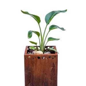 Jardinière murale décorative en métal pour fenêtre, pot de fleurs extérieur pour balcon, jardinière de balustrade de jardin, design vintage en fer - Product Image 3