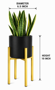 Jardinière en métal noir avec support doré – Pot de fleurs décoratif élégant pour maison moderne, salon, balcon, bureau et intérieur stylé - Product Image 2