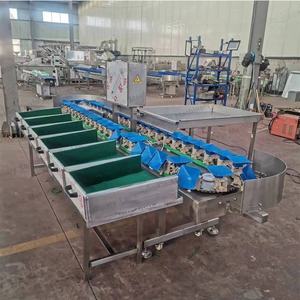 Vente chaude Machine de tri et de calibrage des fruits et légumes entièrement en acier inoxydable avec moteur PLC Haute capacité 200-5000 kg/h - Product Image 4