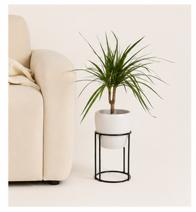 Plante d'intérieur fournie directement par l'usine avec un pot en métal blanc élégant et un support en métal minimaliste pour la décoration de la maison et du bureau - Product Image 3