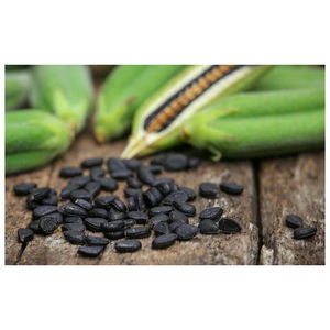 Fabricant de graines de sésame de qualité supérieure pour l'agriculture et l'alimentation, fournisseur pour les usines - Product Image 6