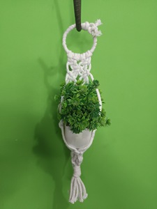 Colgador de Macramé Geométrico Bohemio para Plantas, Decoración Hecha a Mano con Fibra Vegetal para Interiores/Exteriores - Product Image 1