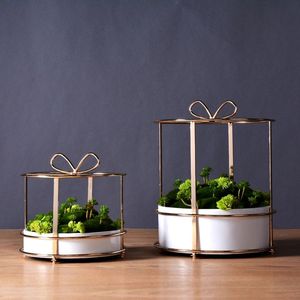 Jardinière en métal doré de luxe, forme hexagonale, pour plantes d'intérieur, forme géométrique dorée pour les succulentes, décoration de la maison - Product Image 6