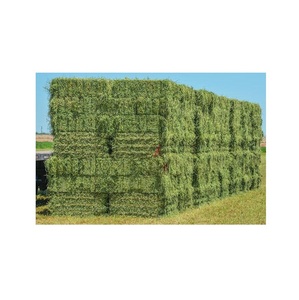 Foin d'alfalfa pour l'alimentation animale au prix de gros - Product Image 1