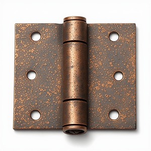 Charnières de porte architecturales en laiton de haute qualité, conçues pour les installations résidentielles et commerciales nécessitant un support robuste - Product Image 4