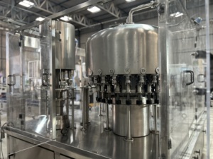 Máquina de enjuague, llenado y tapado de 90 BPM - Product Image 4