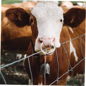 Top Notch Bull Nose <b>Ring</b>, Cow Hauling Nose <b>Ring</b> Bull Tools Nose <b>Ring</b> for Cow Steel Piercing, Livestock Nose Bull Nose Pliers - Product Image 2