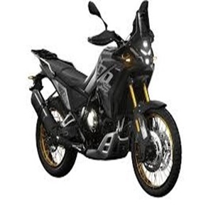 มอเตอร์ไซค์รุ่น DS800X สำหรับการขับขี่แบบแรลลี่และการผจญภัย ยอดขายสูงสุด พร้อมใบอนุญาตพิเศษสำหรับการขับขี่บนถนน - Product Image 2