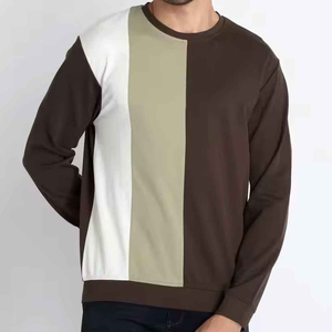Private Label Plus Size Fashion Sweatshirt for Men's Customizable Color New Style Men Sweatshirt Online Sale Hoodies - Product Image 1