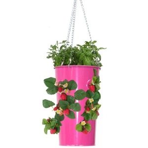 Pot de fleurs suspendu en métal bleu avec plantes de fraises pour jardinières - Product Image 6