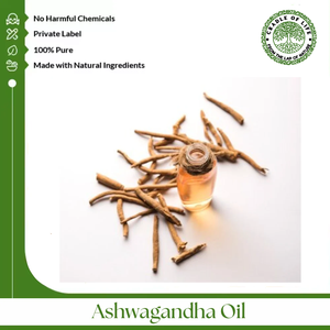 Huile d'extrait de racine d'Ashwagandha sauvage de qualité alimentaire infusée dans un huile végétale, conditionnée en fût - Product Image 2